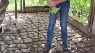 SAŁATA DLA KUR