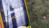 Do rzyci recenzja Sol Mar Lemonade