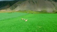 Piękna Islandia widziana z lotu ptaka