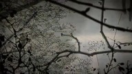 Marchlands - 02