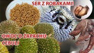 10 najbardziej obrzydliwych potraw ze świata