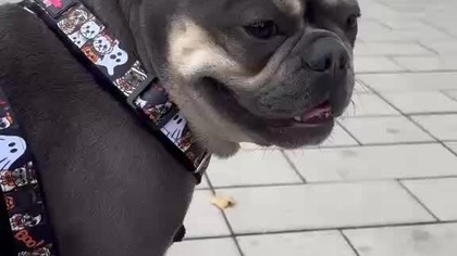 aa3e0627-5a15-4387-a402-cc0e1d578592