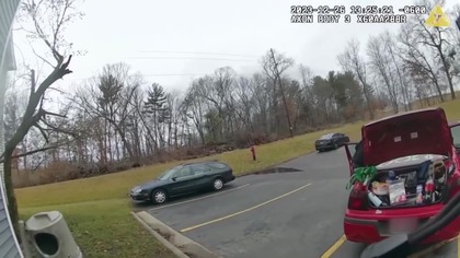 Fugitives Caught on Tape - S01E12 (lektor PL)