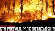 Kto PODPALIŁ Park Biebrzański?! Kara: DOŻYWOCIE przy szpadlu! - K.  Tołwiński \\ 4MensTV