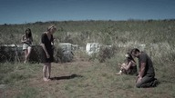 Rekiny Walka o życie. 2012.pl. BRRiP. XViD-BiDA