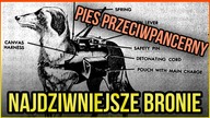 10 NAJDZIWNIEJSZYCH BRONI W HISTORII