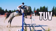 Co to jest TUV