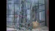 Jedynka - Polskie Zoo Warszawa - Praga bez wizy z 28 września 1991 roku