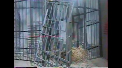 Jedynka - Polskie Zoo Warszawa - Praga bez wizy z 28 września 1991 roku