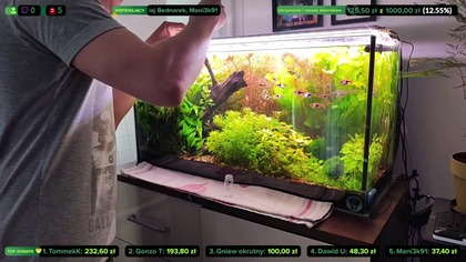AkwaLive porządki w zbiornikach [LIVE #167]