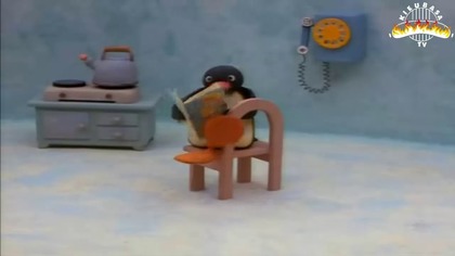 Pingu komentuje obrazki Racoonkuna