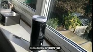 Jbl flip 5 lov frequrency mode Jumping BASS TEST