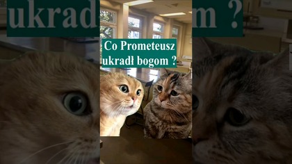 Co Prometeusz ukradł bogom 4k