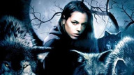 Krew jak czekolada (2007) Lektor PL