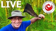 Bijemy rekord live, trudne zadanie