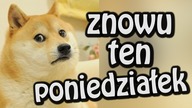 NIE LUBIĘ PONIEDZIAŁKU - HYMN LENISTWA