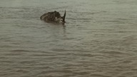 Cesta do Praveku {A Journey to The Beginning of Time} (1955) 2