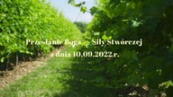 B&oacute;stwa, b&oacute;stewka, bożyszcza...  B&oacute;g