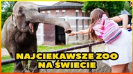 10 NAJCIEKAWSZYCH ZOO NA ŚWIECIE