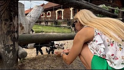 Bałtowski Kompleks Turystyczny jest laureatem Złotego Certyfikatu POT 2024
https://www.instagram.com/polska.travel/
#podróżujodpowiedzialnie
#certyfikatpot

Subskrybuj mój kanał żeby być na bieżąco :) 
https://www.youtube.com/c/DLMDLM
Jeśli się podoba oczywiście kciuk do góry!


Znajdziesz nas jeszcze tutaj: 
MammyDoriska https://www.youtube.com/user/mammydoriska
Facebook https://www.facebook.com/MammyDoriska
Instagram http://instagram.com/doriska353



Pozdrawiam 
Dorota

MUZYKA
--------------------------------------------------------
Song: Caro Giek feat. Sven Schwarz - Lines [Concordia Recordings]
https://youtu.be/dU_S63VEUvw
--------------------------------------------------------


*Film powstał przy współpracy z Polska Travel