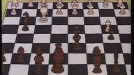 Psi żywot: Szachy (1989)