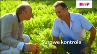 Cartoon Network Poland [09.06.2020] - Continuity 