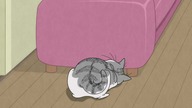 [Fusoku Subs] Yoru wa Neko to Issho 23