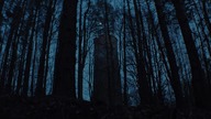 Solus (2022) PL