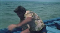 Night. of. the. Sharks. 1988.pl. DVDRip. XviD-LMR