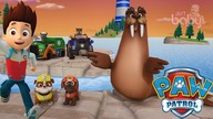 PAW Patrol On a Roll Episode - Save Wally the Walrus Full Gameplay Walkthrough Tutorial Justbaby gam