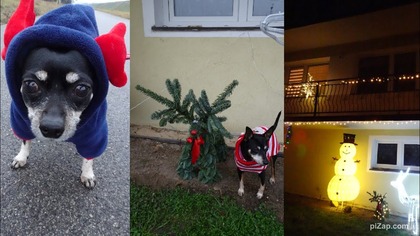 Vlogmas 22 Dekorowanie domu część 2