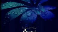 BUTTERFLY - Sorrow