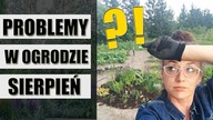 Odpowiadam na OGRODOWE pytania SIERPIEŃ