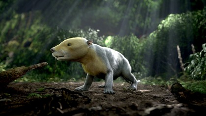 Początek epoki ssak&oacute;w (2020)