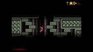 Mario Forever The TororoTchi