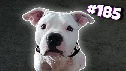 BLOK EKIPA (185), POSZUKIWANIA ZAGINIONEGO CIEŚLAKA