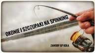 OKONIE I SZCZUPAKI NA SPINNING // zawody GP koła // 2023
