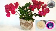 Doniczka z masy strukturalnej drewnianej [WOODEN STRUCTURAL MASS FLOWERPOT] - Pomysły plastyczne DiY