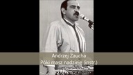 Andrzej Zaucha - Póki masz nadzieję (wersja instr. )