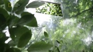 preppers s03e09