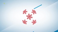 TVP 1 - Zapowiedzi, Spot, Reklamy | 29. 12. 2020