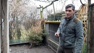 Rozbiórka kojca po Mili i oczyszczanie dachu z mchu.