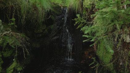 Forest Mini Waterfall for Focus Real Outdoor Cascade Ambience