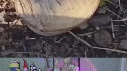 Try Not To Laugh  3...  2...  1...  PADŁEŚ! 