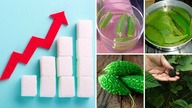 6 Niesamowitych Produktów Które Obniżają Poziom Cukru We Krwi Naturalnie