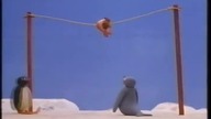 Pingu (Odcinek 7) - Pingu i foka