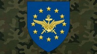 10 ORGANIZACJI BOJOWYCH UNII EUROPEJSKIEJ