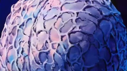 Dragon. Ball. Z. E231. [HD. Remastered. XviD-Przemek17][Lektor PL][Alusia]