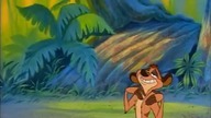 Dookoła świata z Timonem i Pumba (1996)