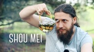 Intensywna biała herbata Długowieczne Brwi Shou Mei. Czajnikowy.pl